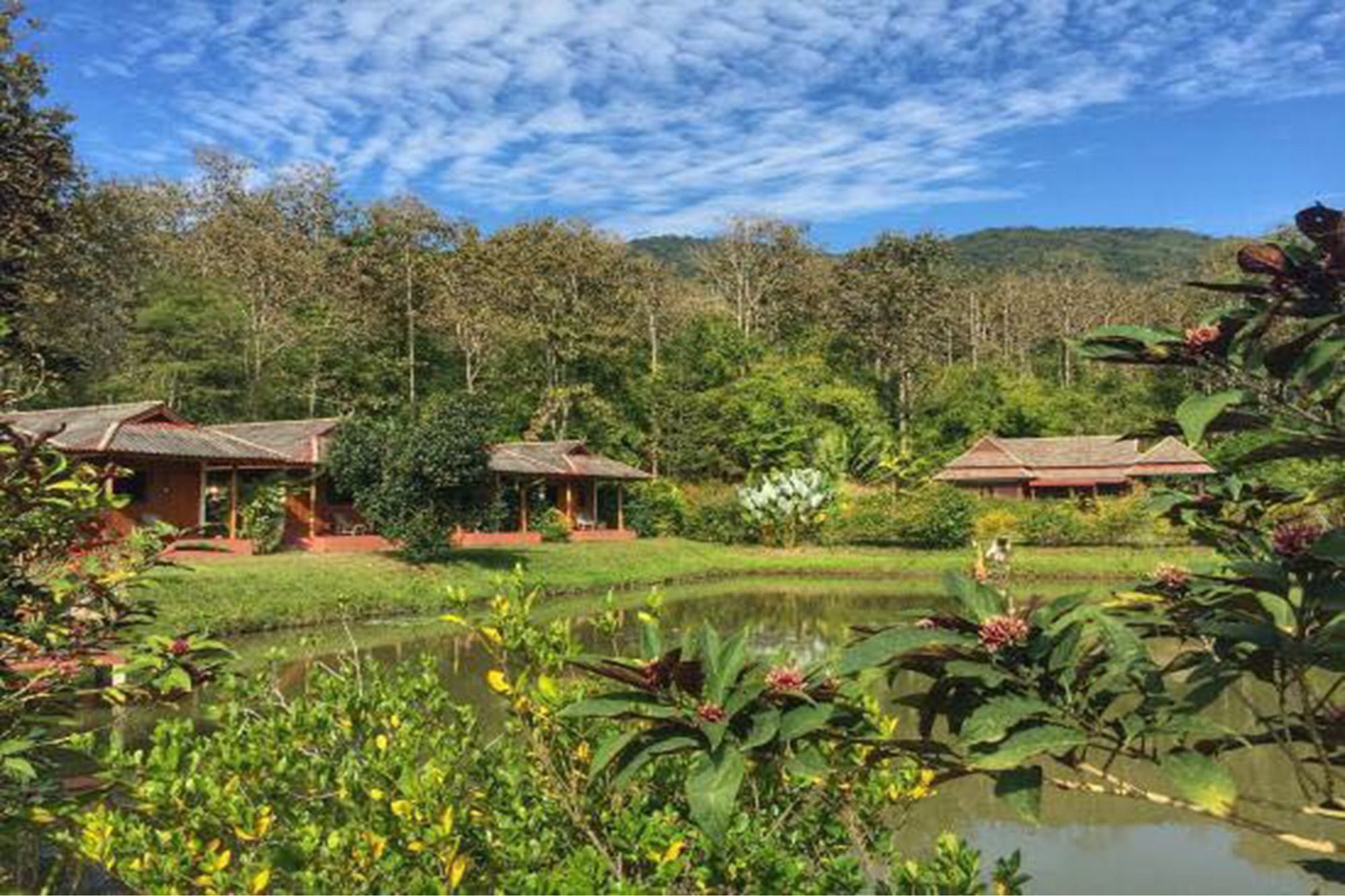 Noks Garden Resort Chiang Rai Exterior foto